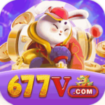 Foto del perfil de u677v