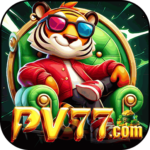 Foto del perfil de pv77