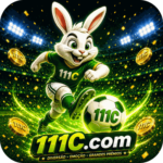 Foto del perfil de u111c
