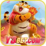 Foto del perfil de y3bet