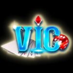 Foto del perfil de vicclubcompany