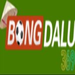 Foto del perfil de Bongdalu369 World