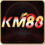 Foto del perfil de km88vncom