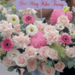 Foto del perfil de shop hoa hai duong