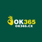 Foto del perfil de OK365