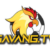 Foto del perfil de Gavangtv gavang1tvnet