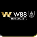 Foto del perfil de W88