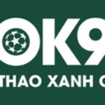 Foto del perfil de Nhà Cái OK9