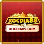 Foto del perfil de xocdia89com