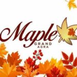 Foto del perfil de Maple Grand