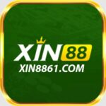 Foto del perfil de XIN88