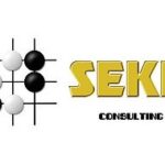 Foto del perfil de Seki Consulting