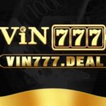 Foto del perfil de Vin777 Deal