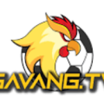 Foto del perfil de gavangtv gà vàng