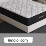 Foto del perfil de rinoloo rinolo