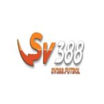 Foto del perfil de Sv388