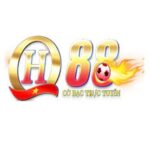 Foto del perfil de qh88
