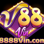 Foto del perfil de Nhà cái 88VIN