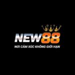 Foto del perfil de NEW88
