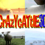 Foto del perfil de Crazycattle