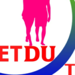 Foto del perfil de Du Lịch Việt Du Vietdutravel