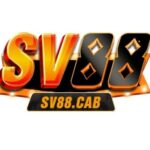 Foto del perfil de SV88 - Web cá cược Châu Âu. Link gốc tải SV88 cho IOS, APK