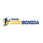 Foto del perfil de Trang Cá Độ Bóng Đá