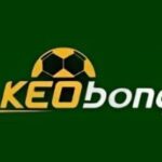Foto del perfil de Kèo bóng đá