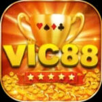 Foto del perfil de Cổng Game Vic88