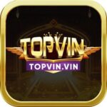 Foto del perfil de Topvin