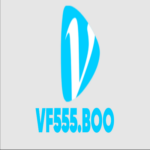 Foto del perfil de vf555