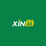 Foto del perfil de Xin88