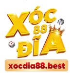 Foto del perfil de Xocdia88