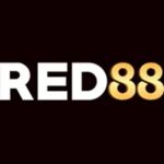 Foto del perfil de red88biznet