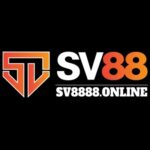 Foto del perfil de Sv88