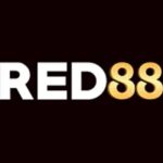 Foto del perfil de Red88