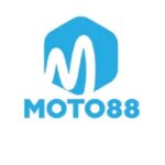 Foto del perfil de Moto88