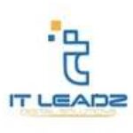 Foto del perfil de IT Leadz