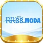 Foto del perfil de RR88 moda