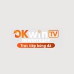 Foto del perfil de OKWIN TV