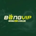 Foto del perfil de BONGVIP COM IM