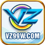 Foto del perfil de VZ99