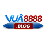 Foto del perfil de VUA8888 BLOG