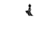 Foto del perfil de TMA TRADING